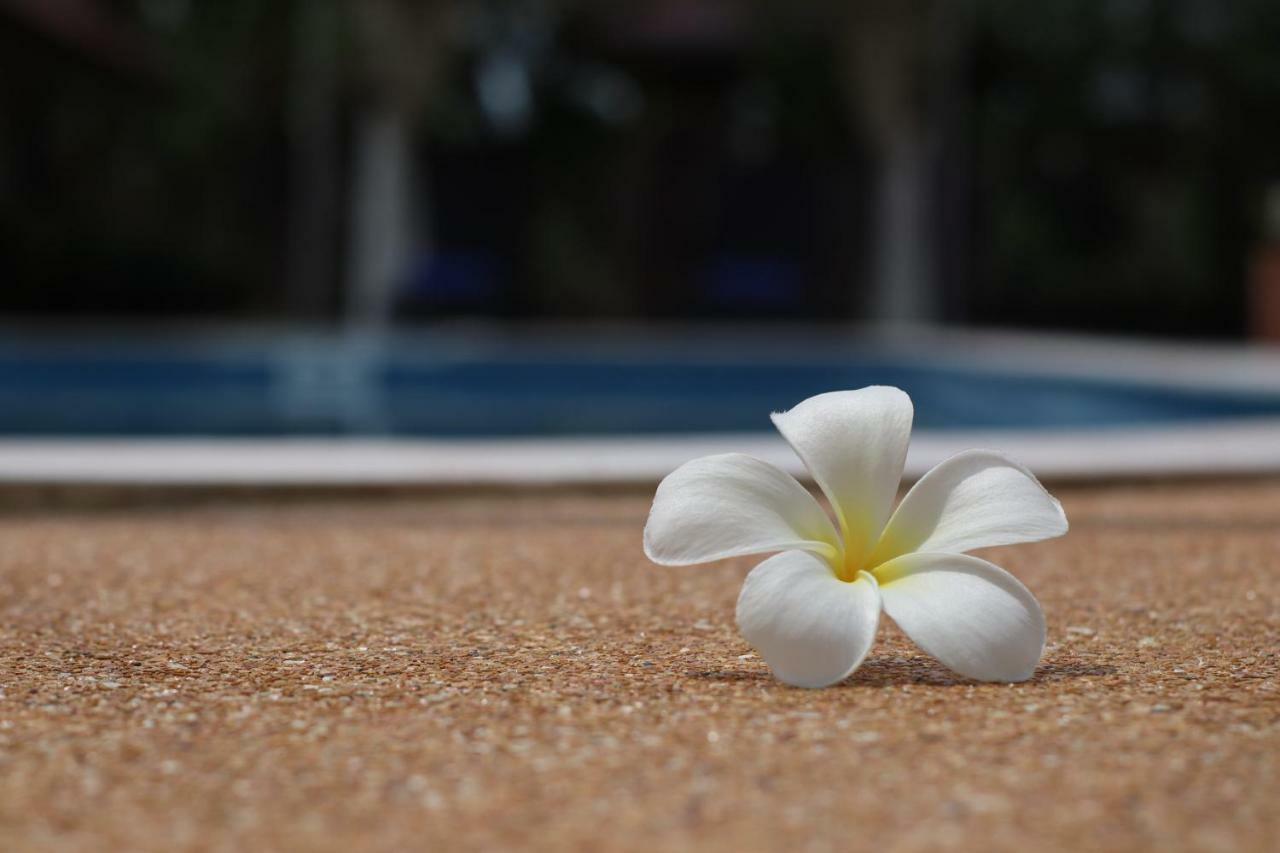 The Hillside Pranburi Resort Eksteriør billede